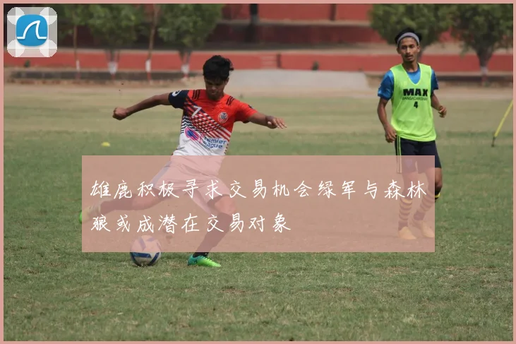 雄鹿积极寻求交易机会绿军与森林狼或成潜在交易对象